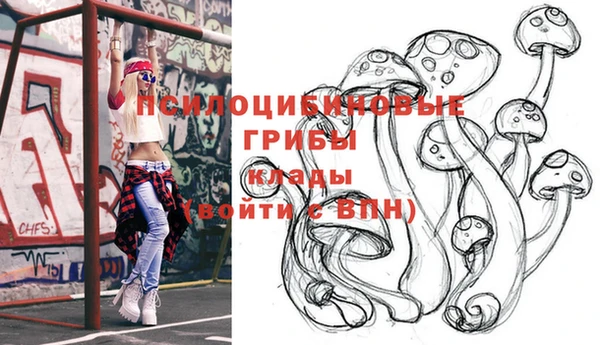 ГАЛЛЮЦИНОГЕННЫЕ ГРИБЫ Верея