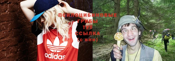 ГАЛЛЮЦИНОГЕННЫЕ ГРИБЫ Верея